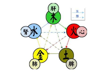 五行代表|五行（对万事万物的取象比类）